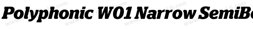 Polyphonic W01 Narrow SemiBold字体转换